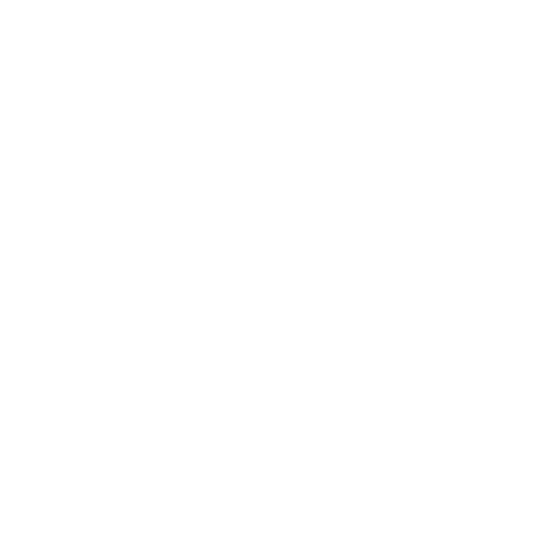 Dane firmowe Wózki widłowe Paweł Buczkowski